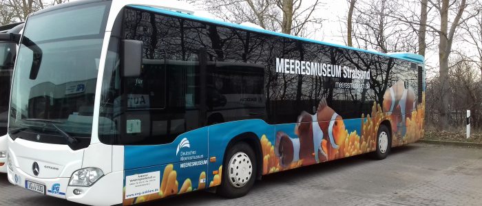 Ozeaneum